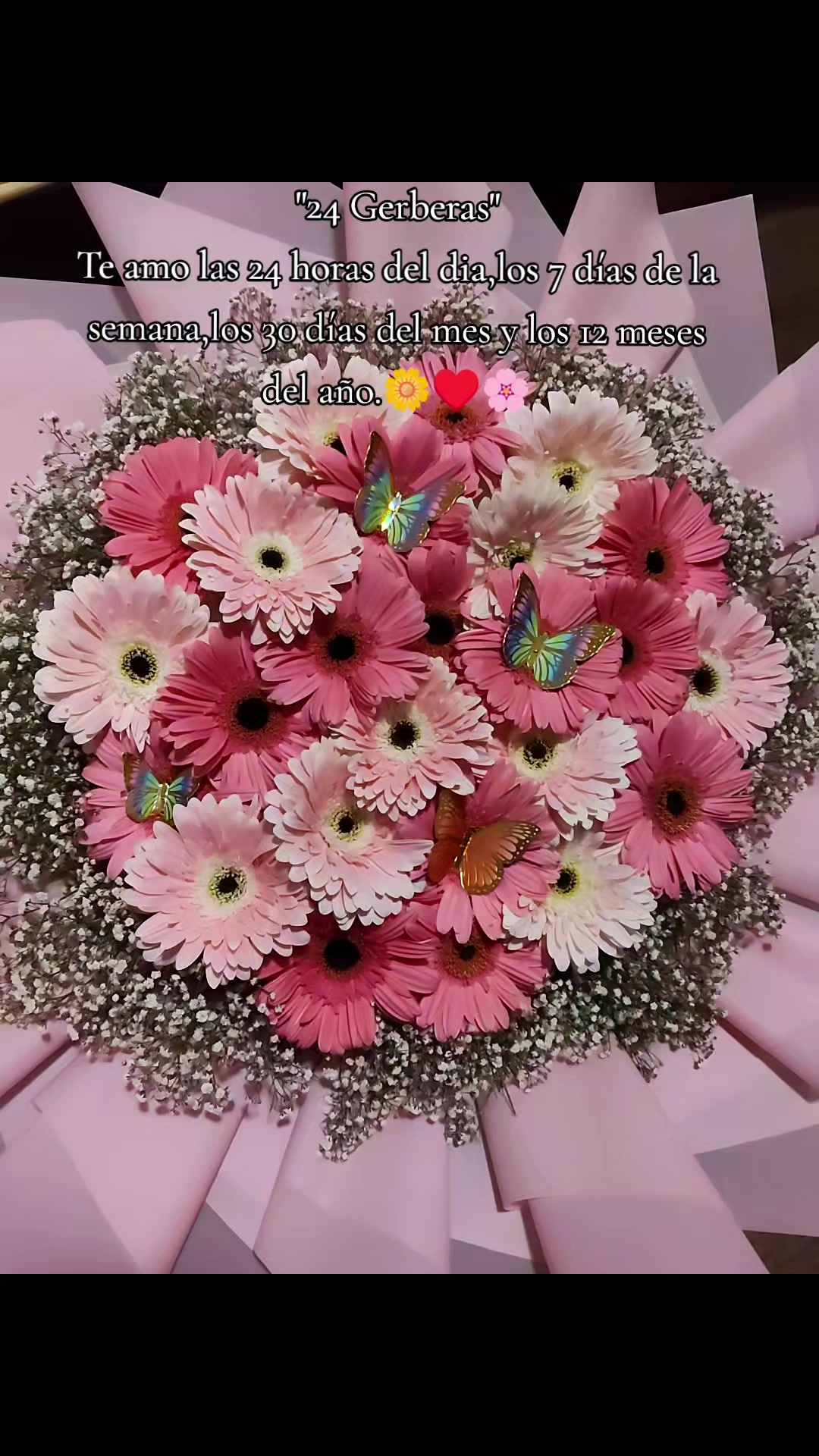 @Mateoluz💗🧸🍃