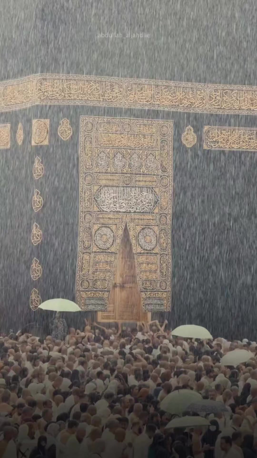 @msaadsaeed313
