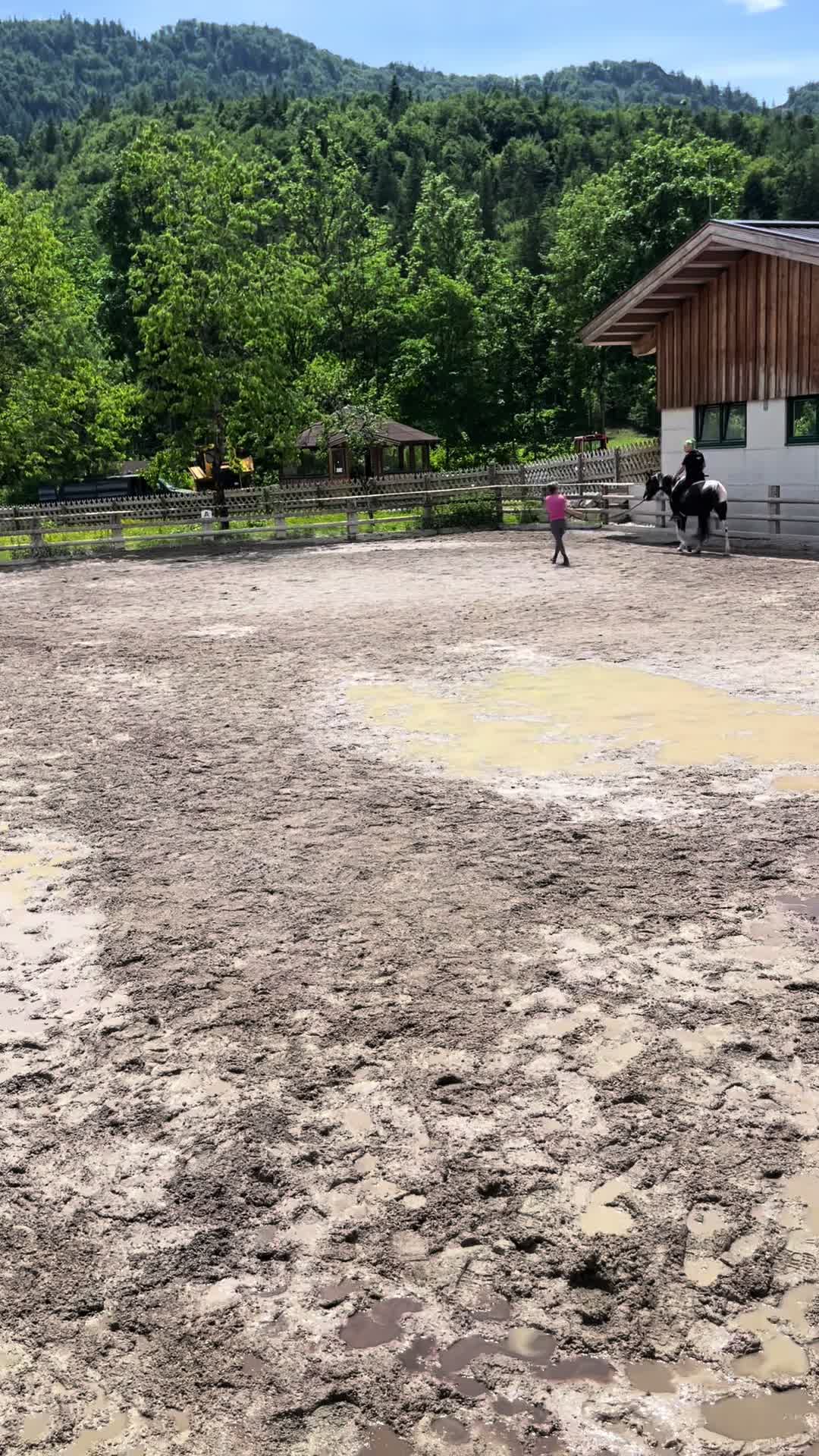 @Mountain Hill Ranch 🇦🇹