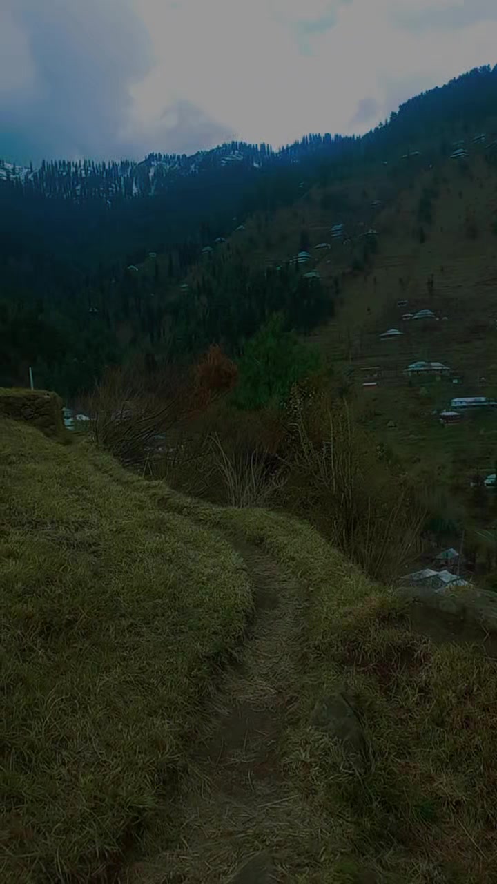 @riazmagray