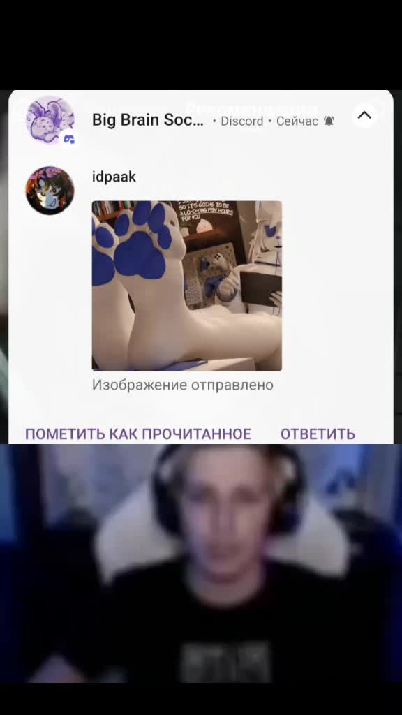 @idpaak89"DioDonno"🏳️⚧️