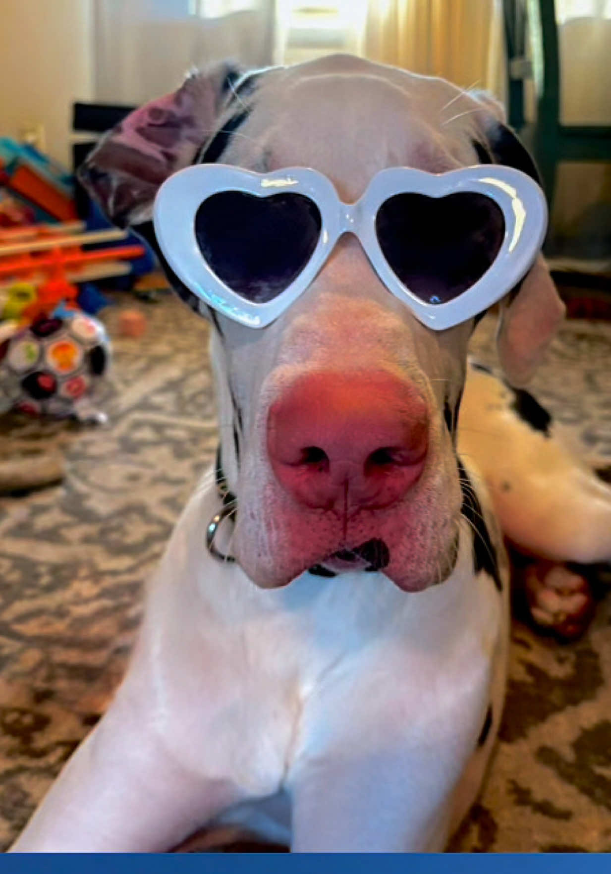 @stonethedane