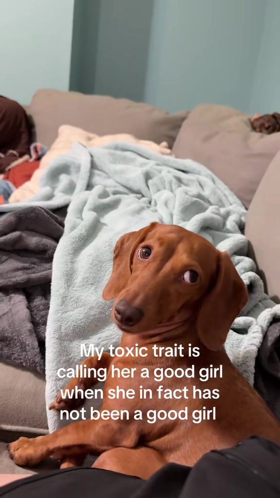 @Sarah and the Peanuts