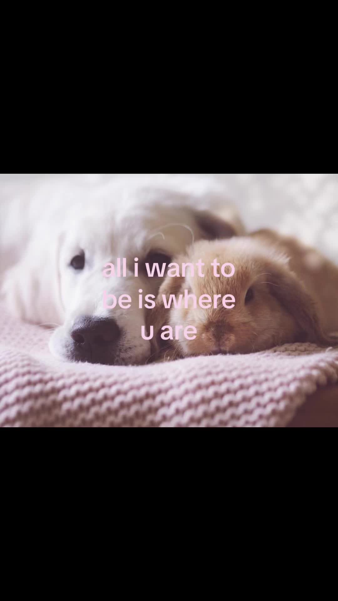 @rwnd