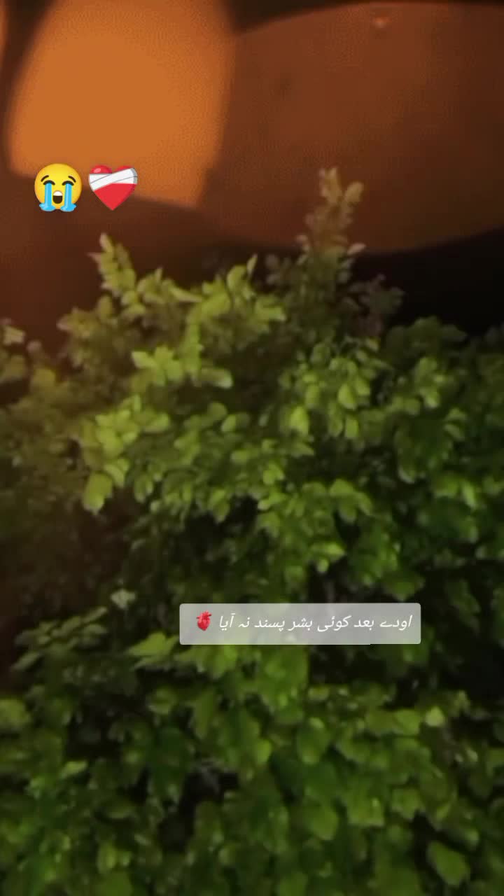 @Abdul メ رحمان ❤️🩹