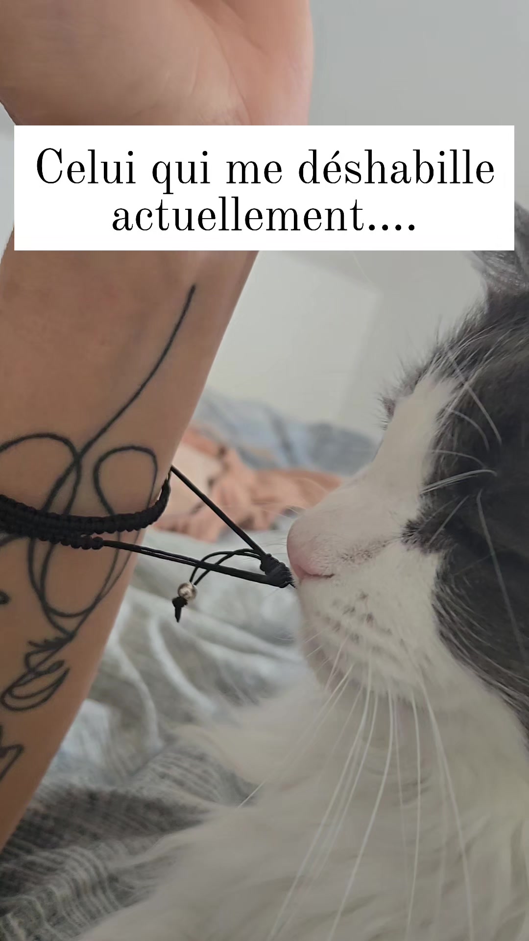 @Nabelha|♡ M&eacute;dium & Tarot ♡