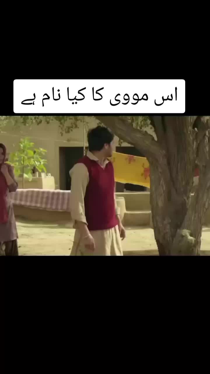 @Zara_Batool