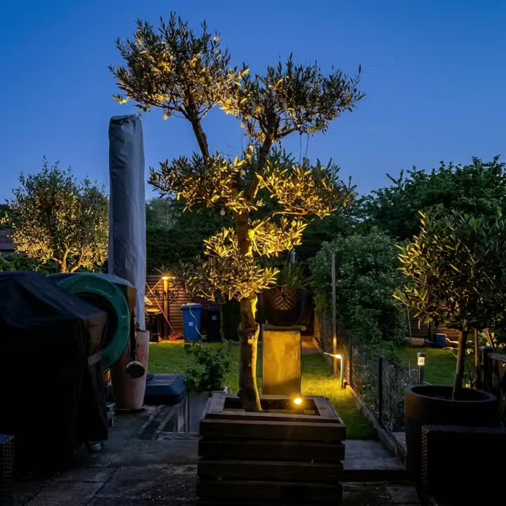 @tsunlighting