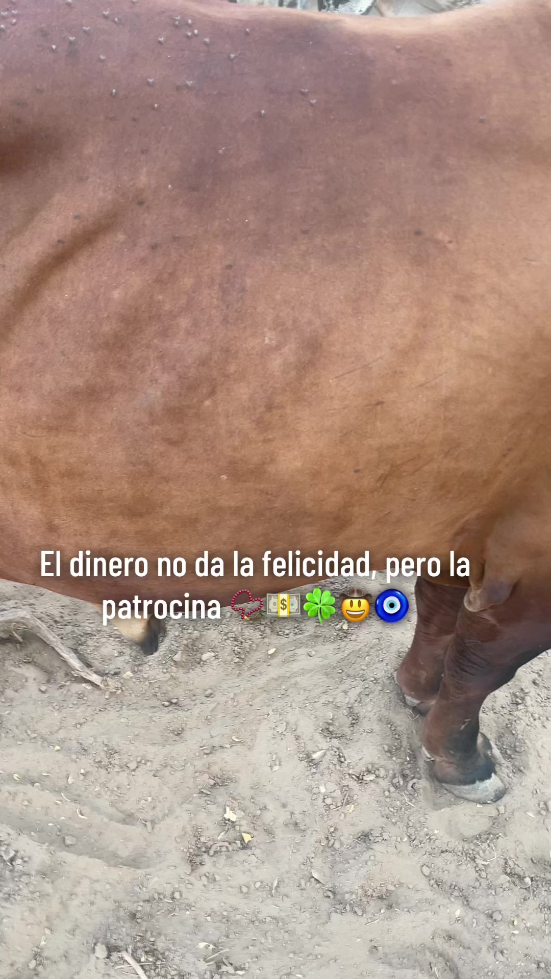 @Adrian Menjivar