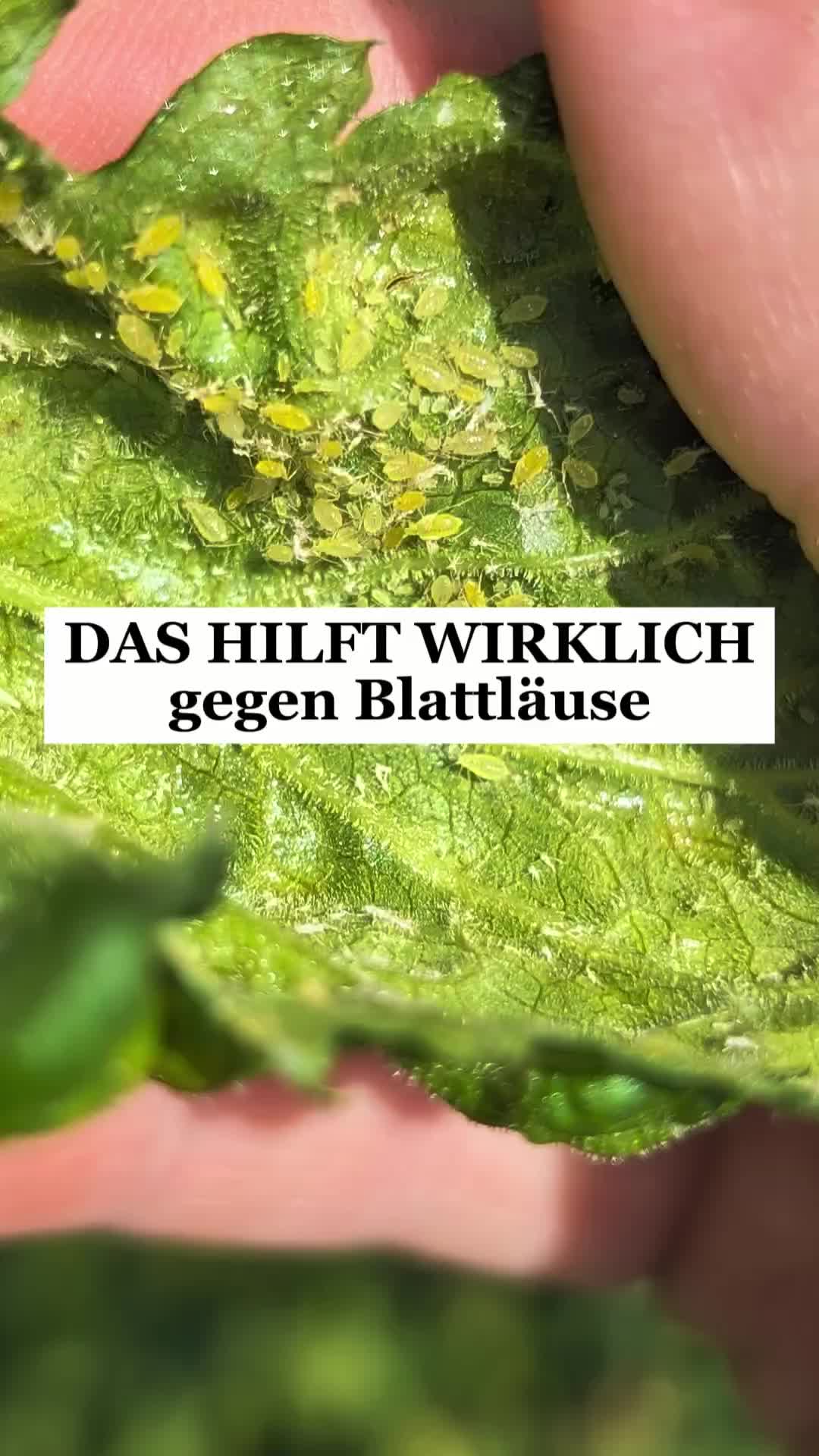 @ErnteExperte