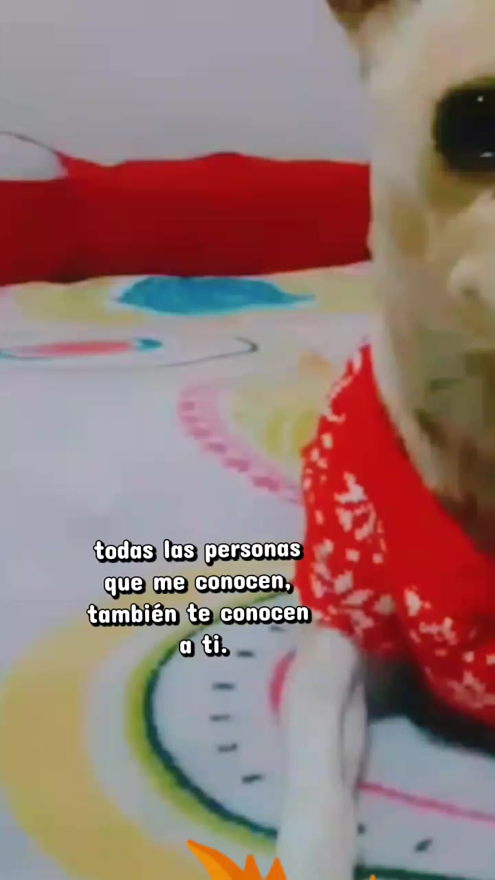 @Mon y Los minis⚡😎🤟🏻🖤