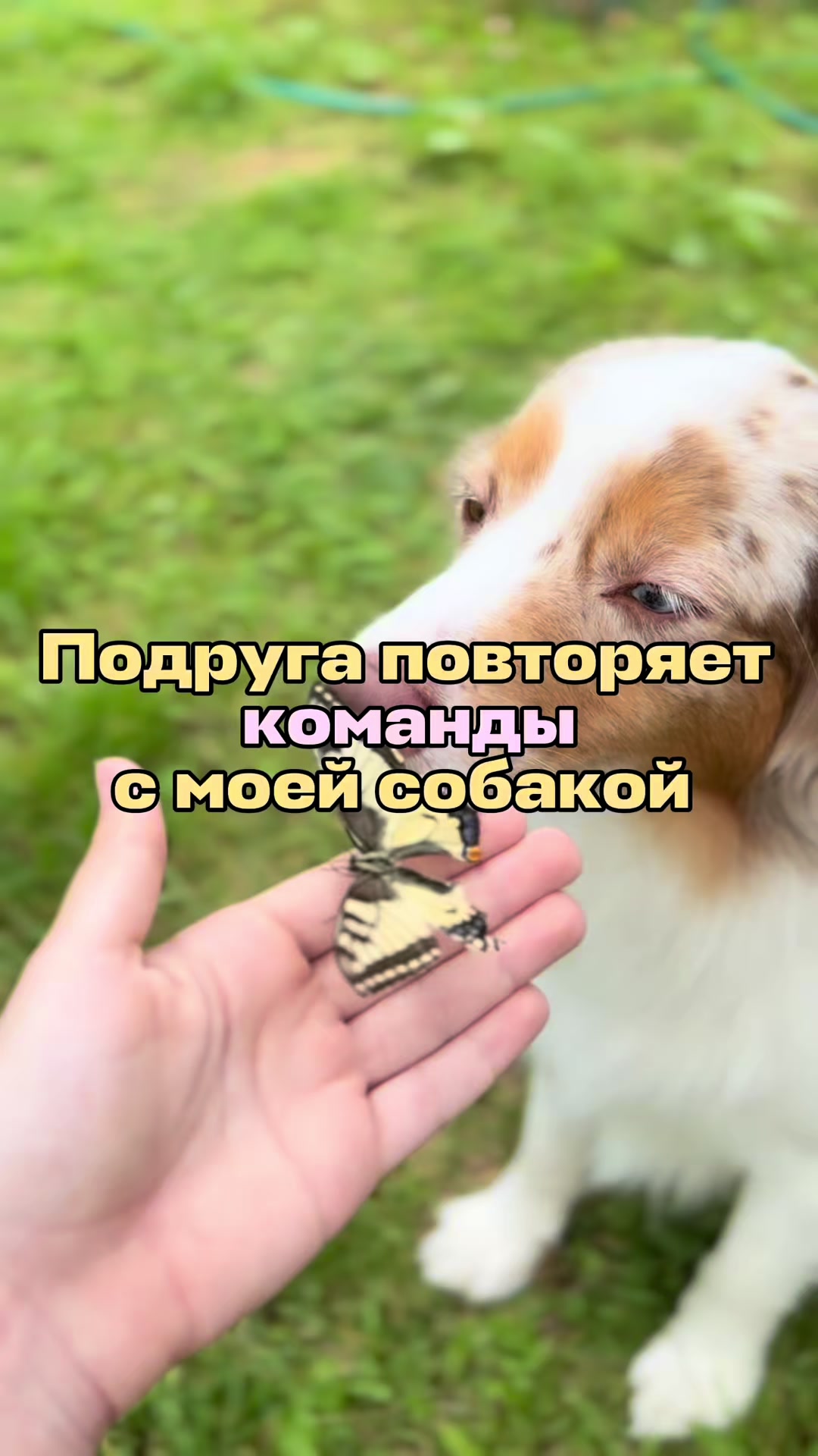 @𝚃𝚠𝚒𝚡