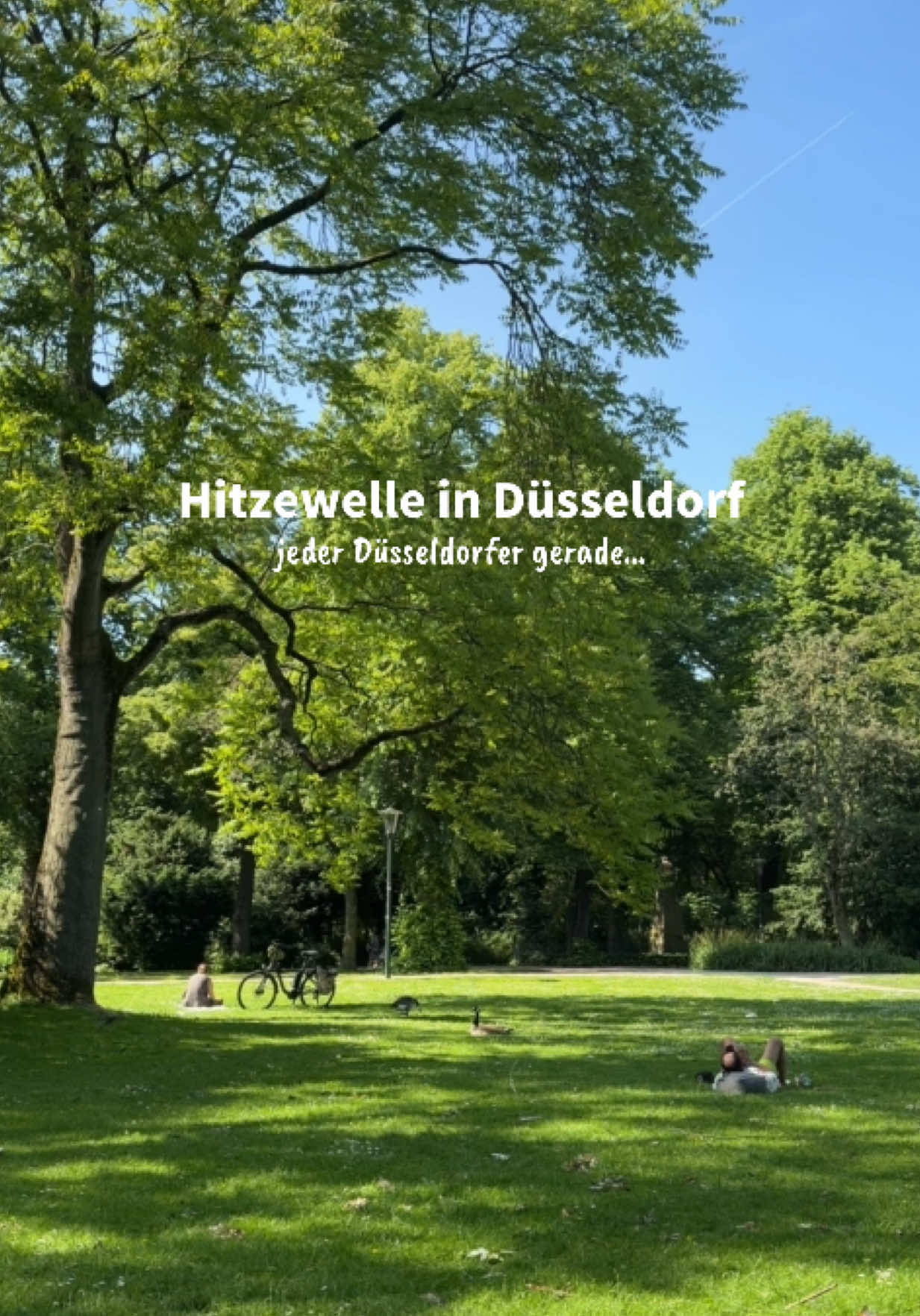 @Mr. D&uuml;sseldorf
