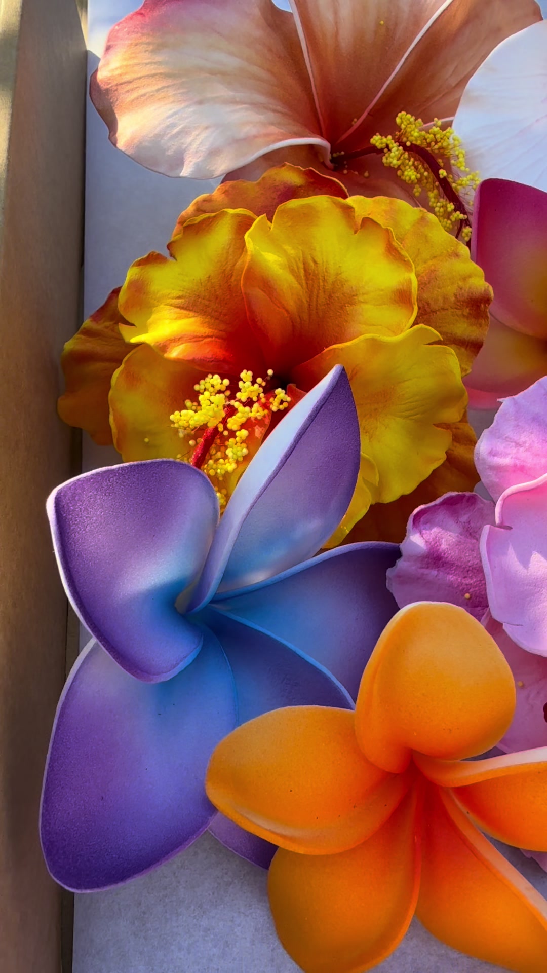@Island Aesthetica 🌺 Pasifika