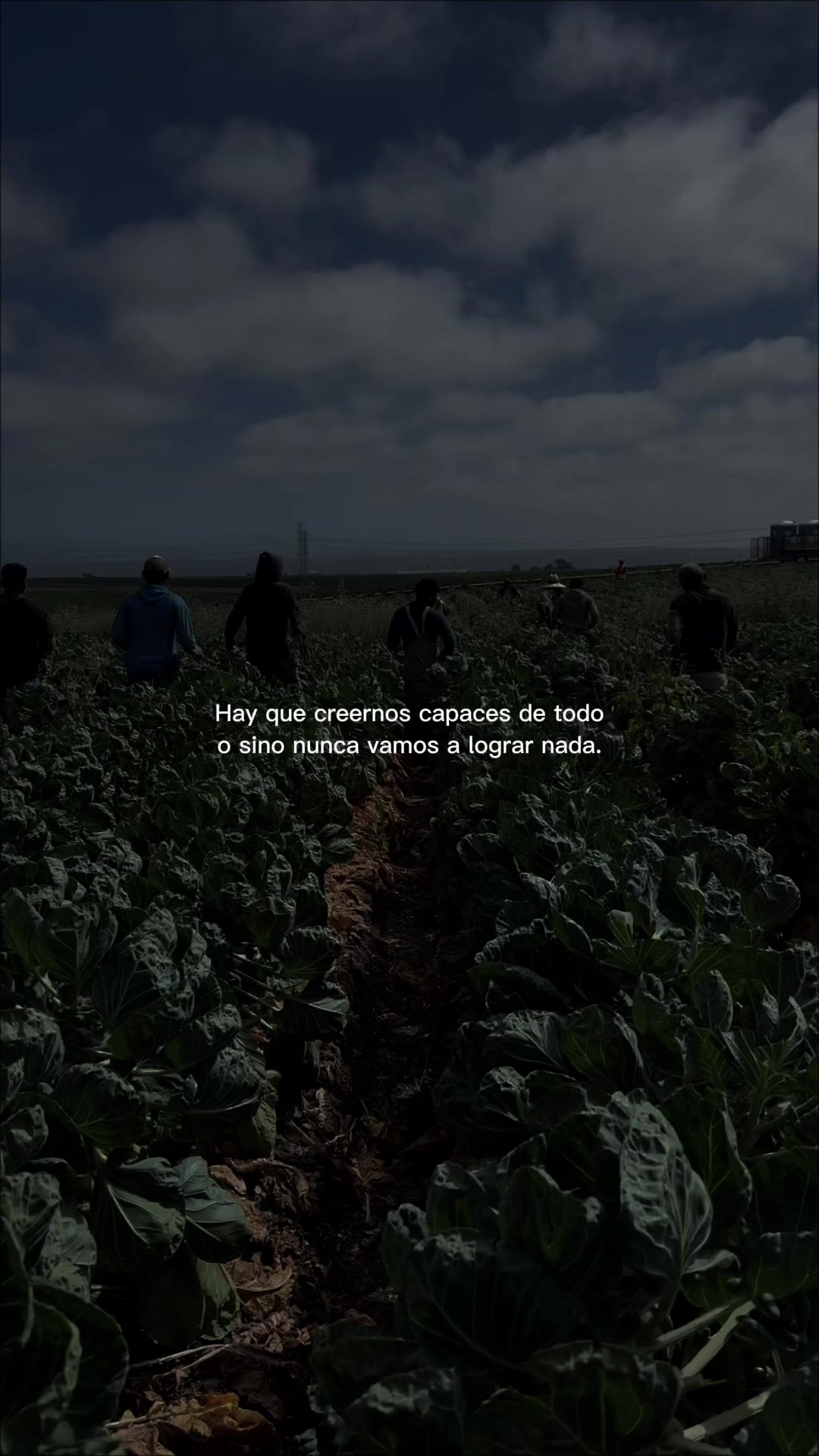 @Daniel Molina