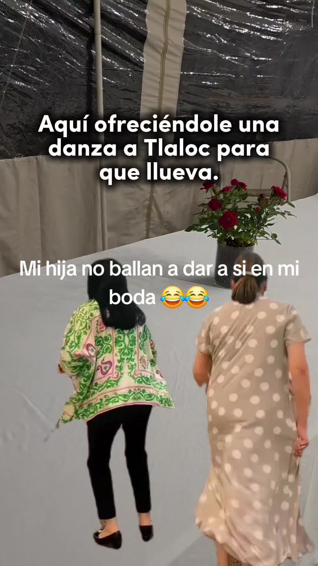 @Celina2281