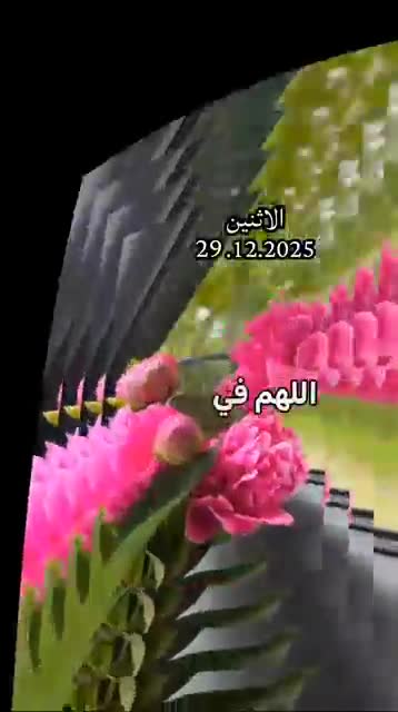 @Nesrine Guendouz