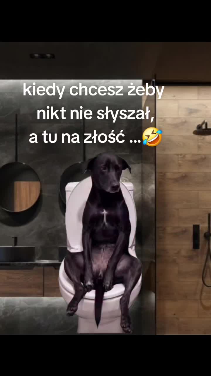 @🇵🇱🖐Aga Kamien🖐🇩🇪