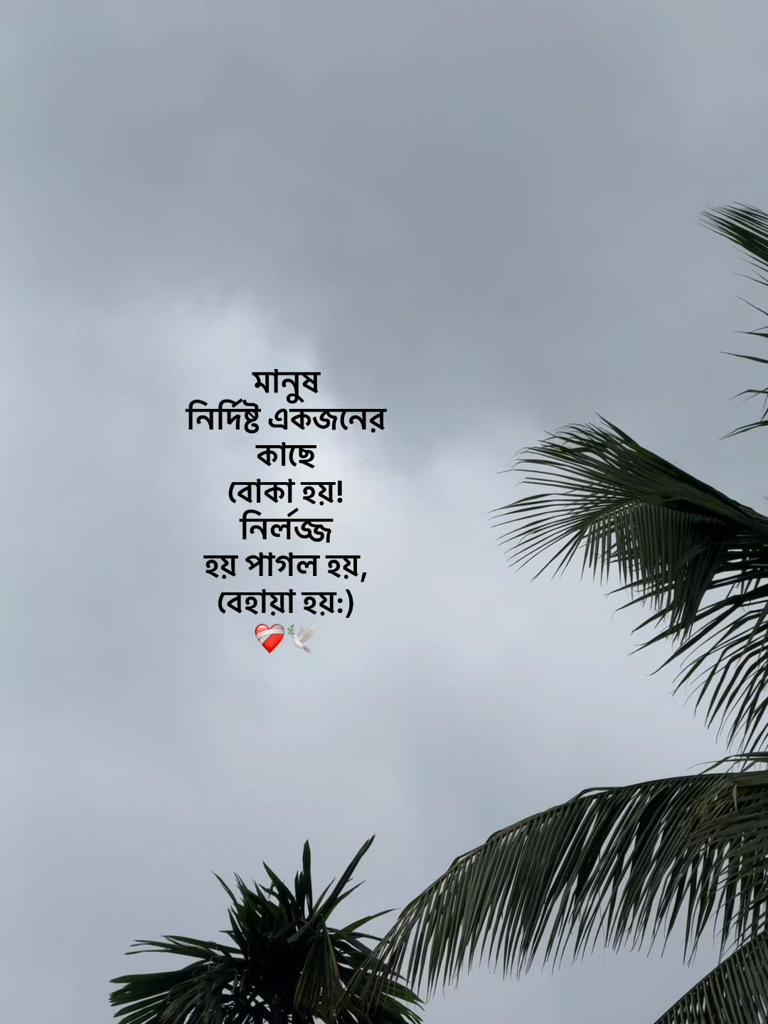 @Jahidul lslam 95