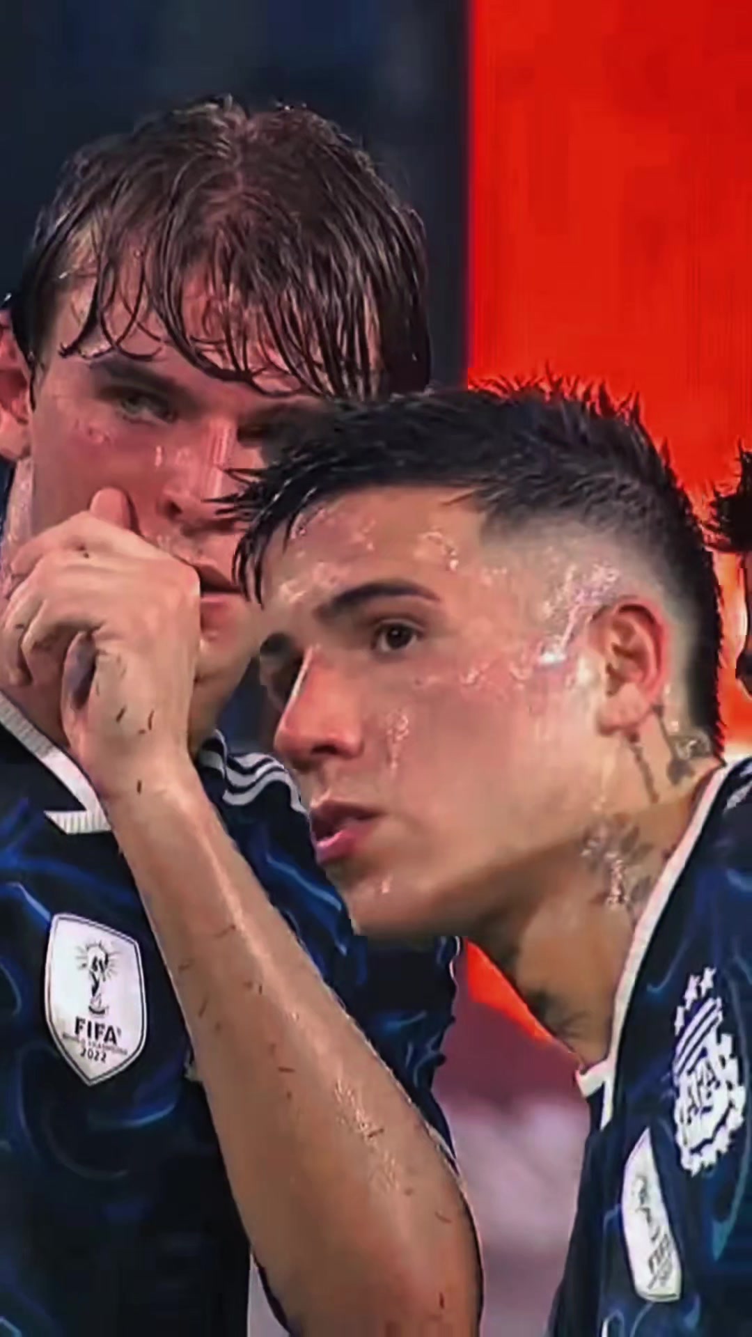 @Argentina's fans