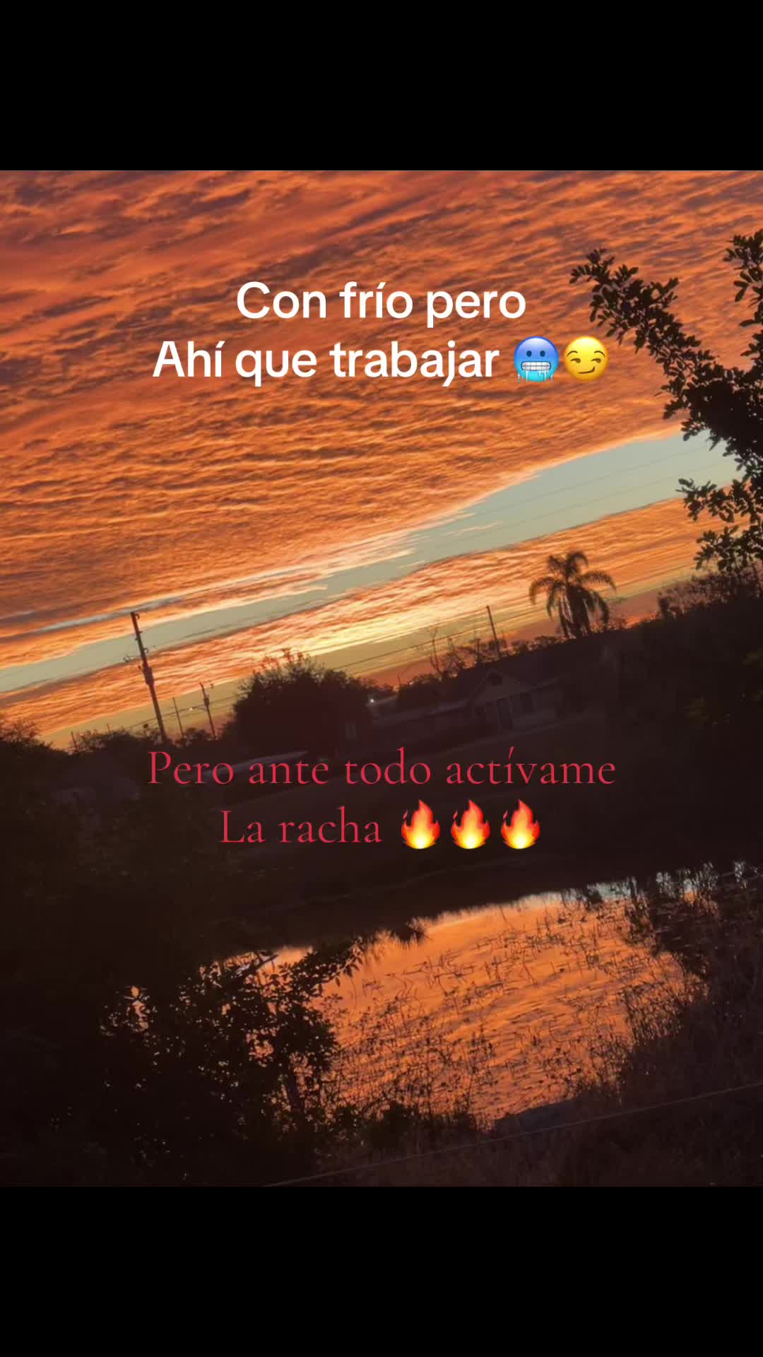 @Flaco.G