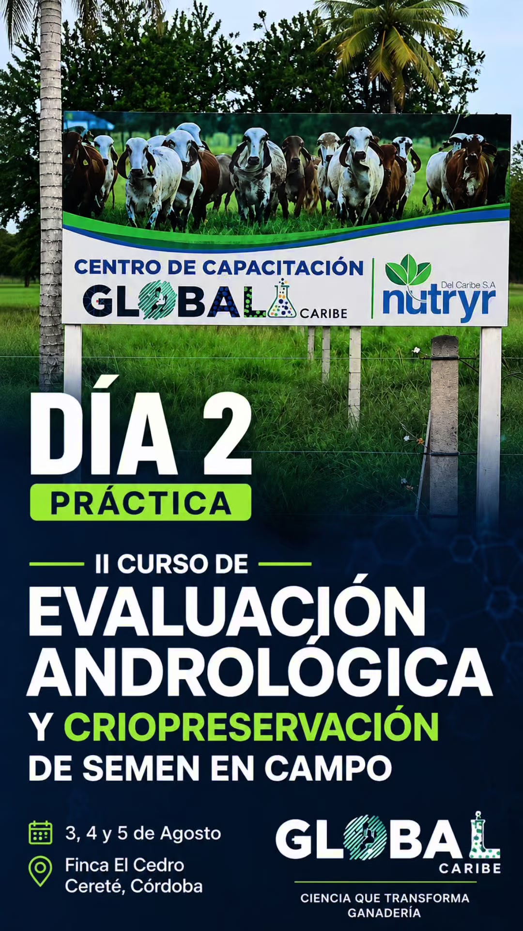 @Global Caribe