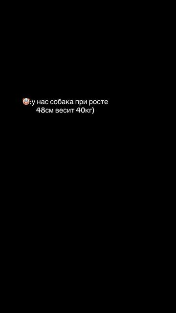 @🦋ТГК:PitoStaff_Milfa🦋
