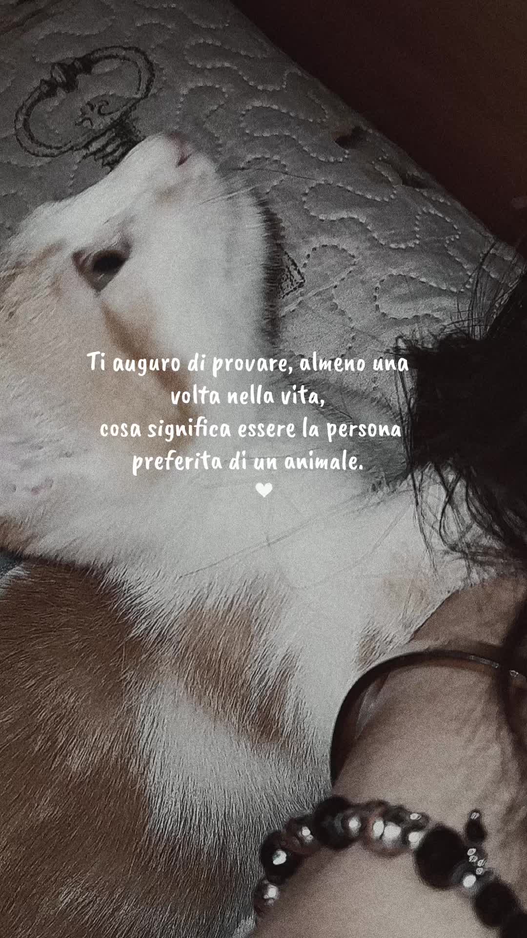 @Ilaria⭐️