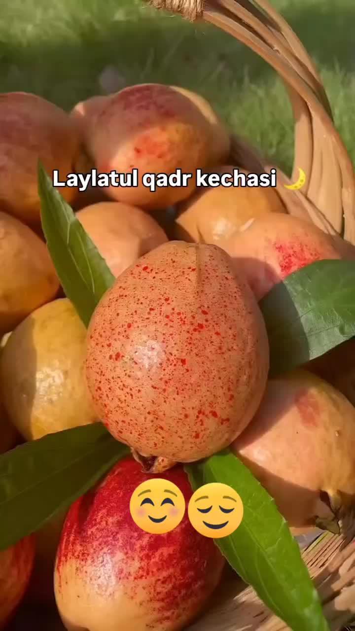 @Камола