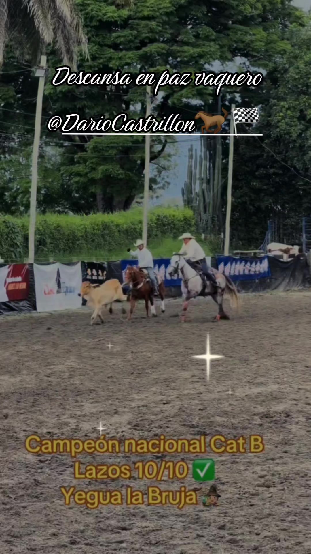 @Caballos y Reatas
