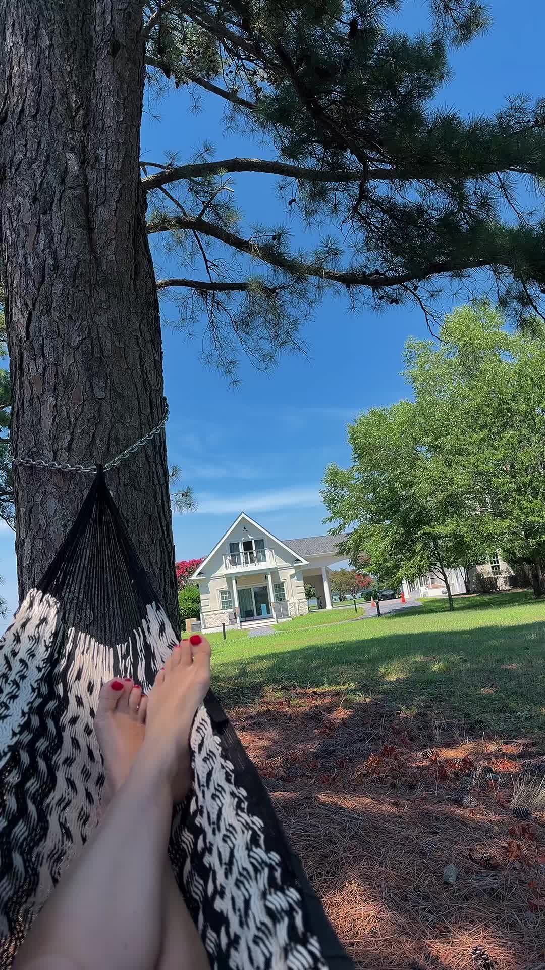 @Alenasunny