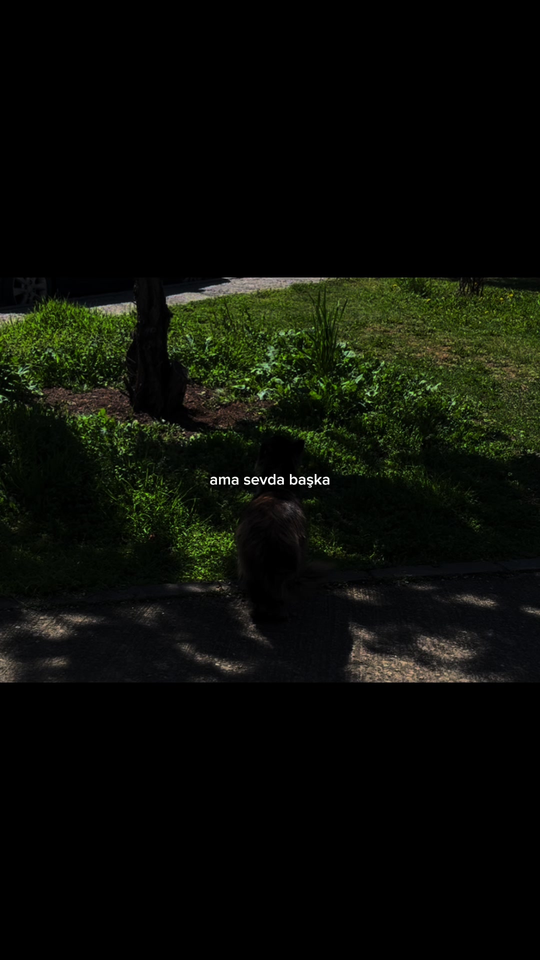 @Beyza