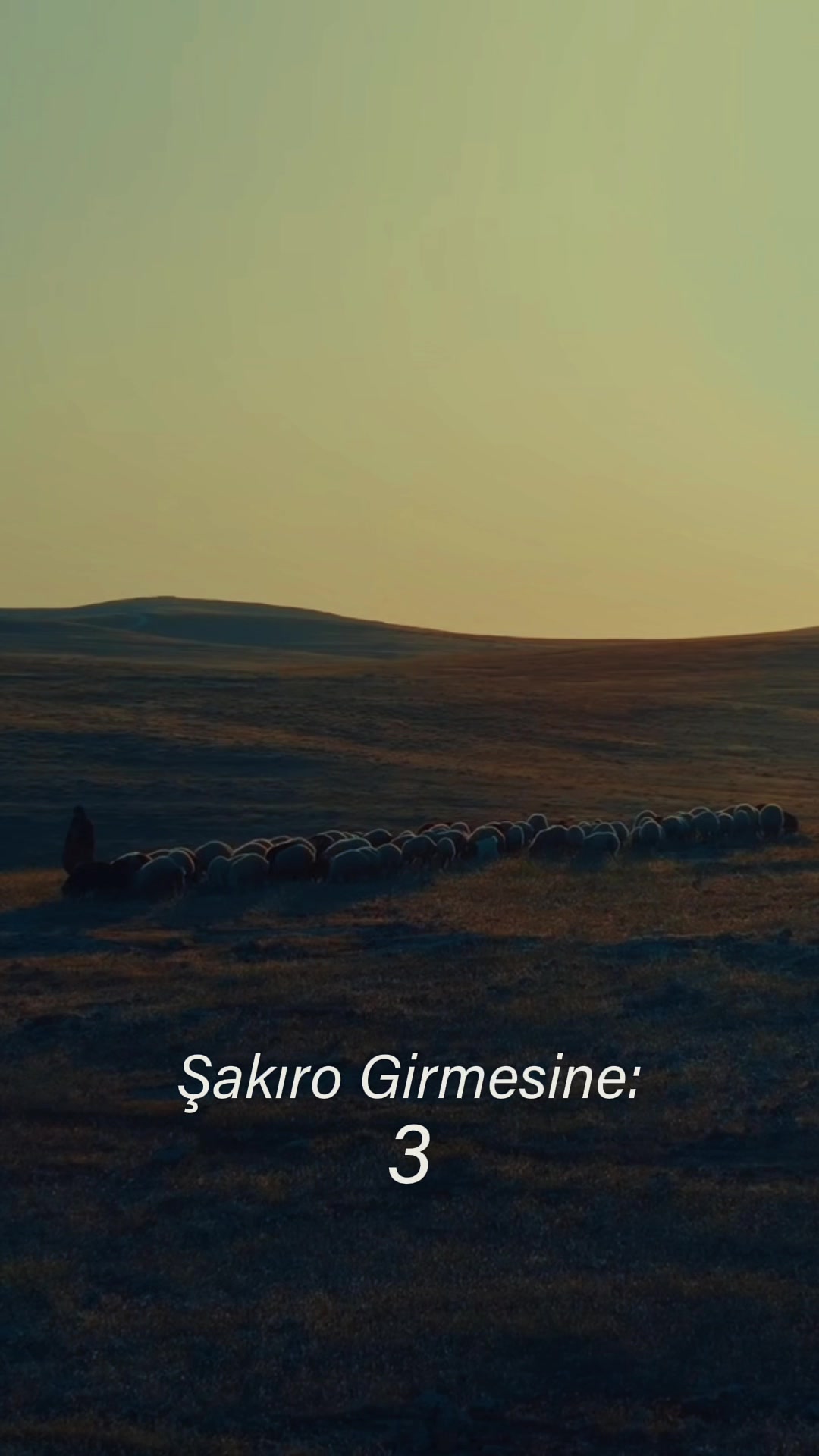 @MURAT DAĞ..🫳