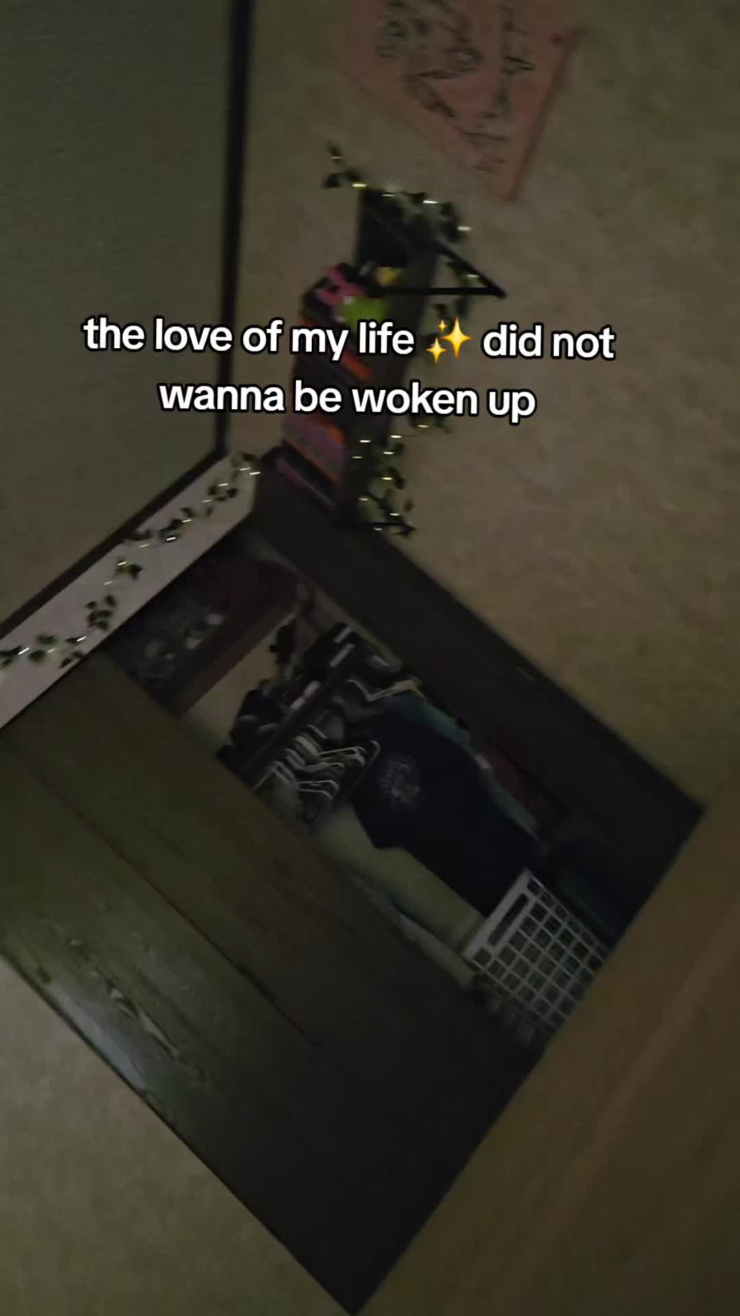 @Vader, Rocko, & Kona