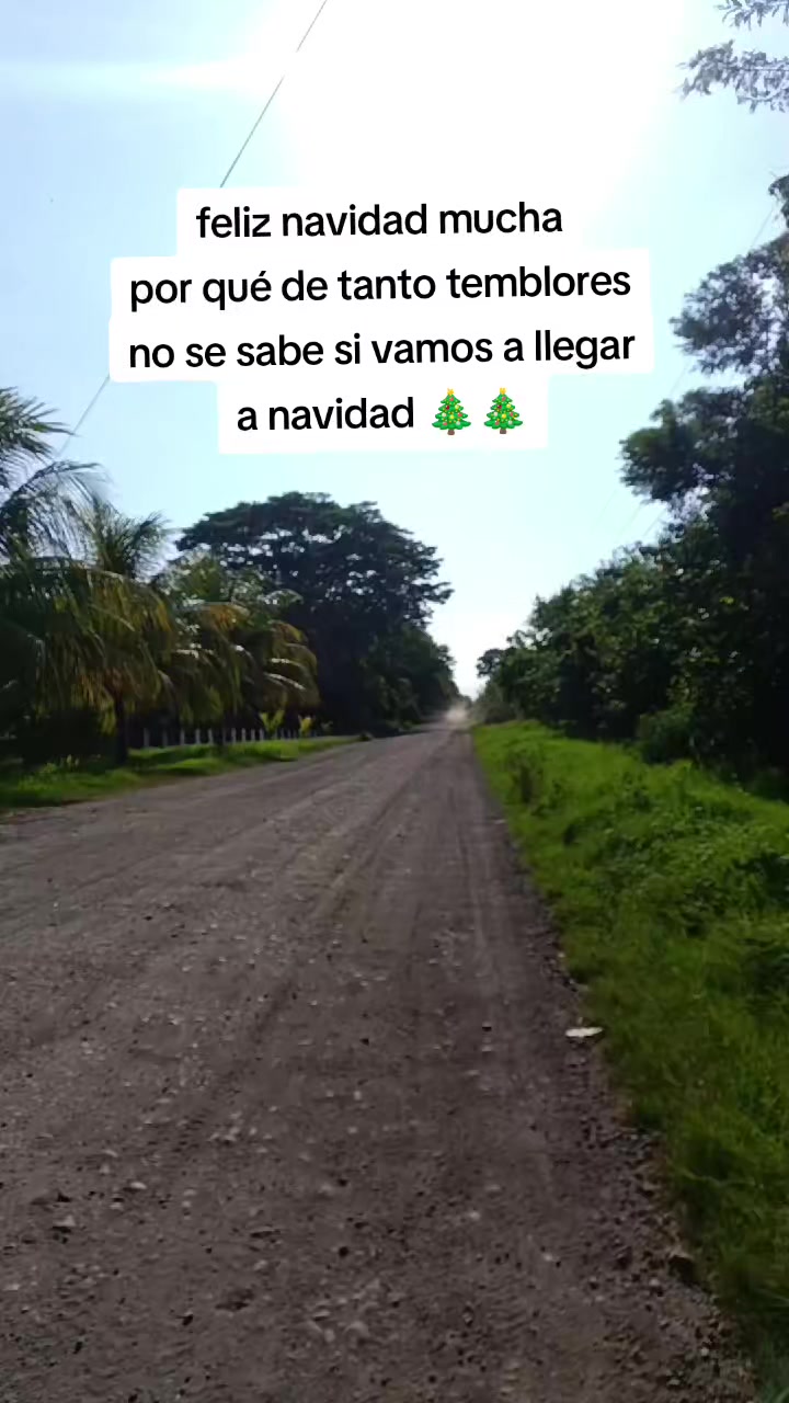 @M.I.S.M.O