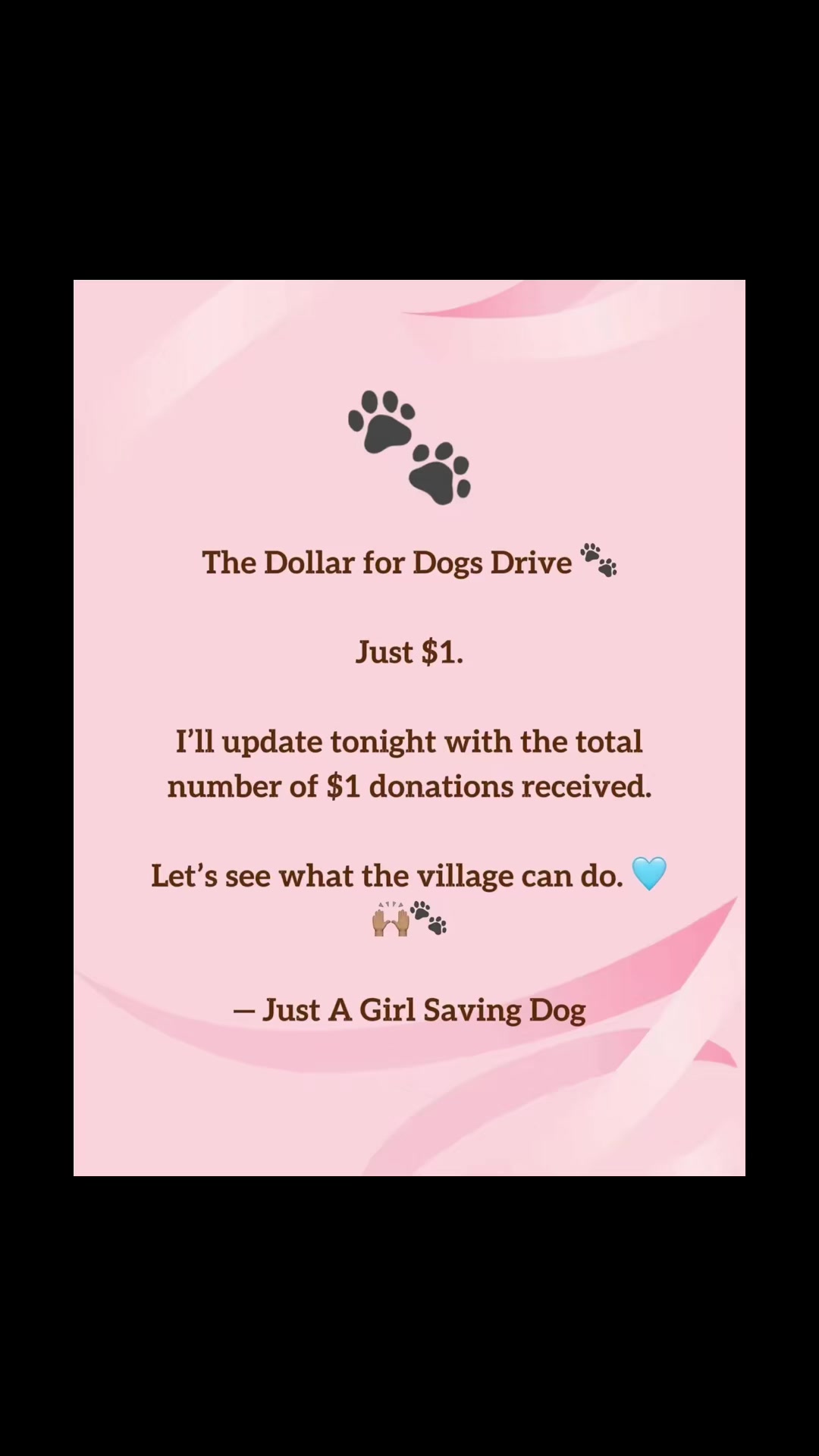 @Just A Girl Saving Dogs