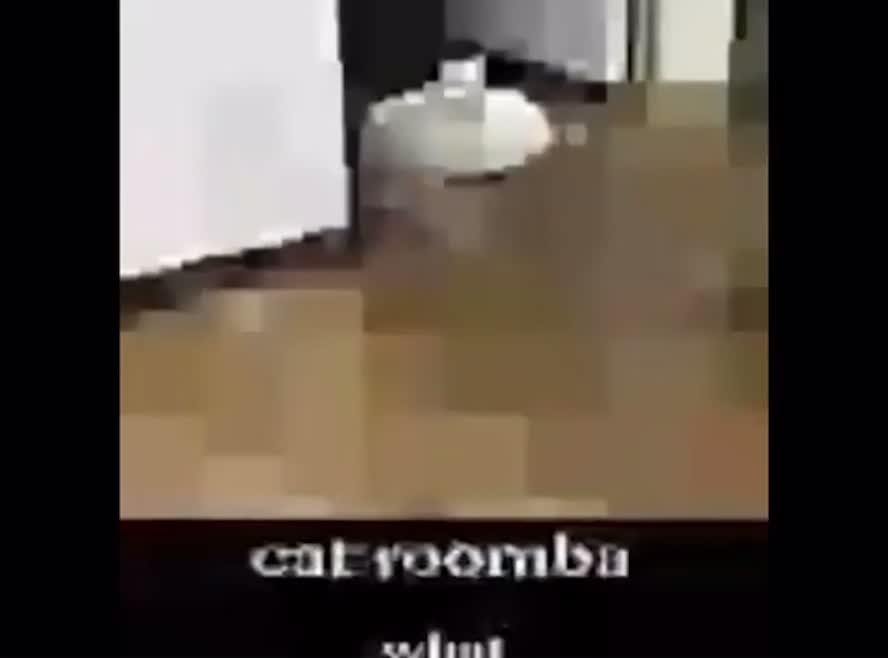 @thekkrustycrab