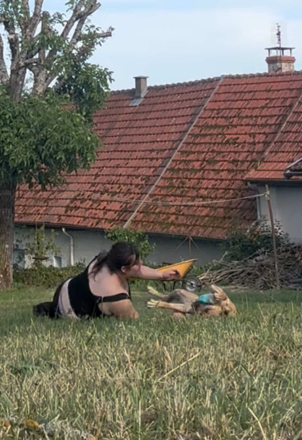 @isalys