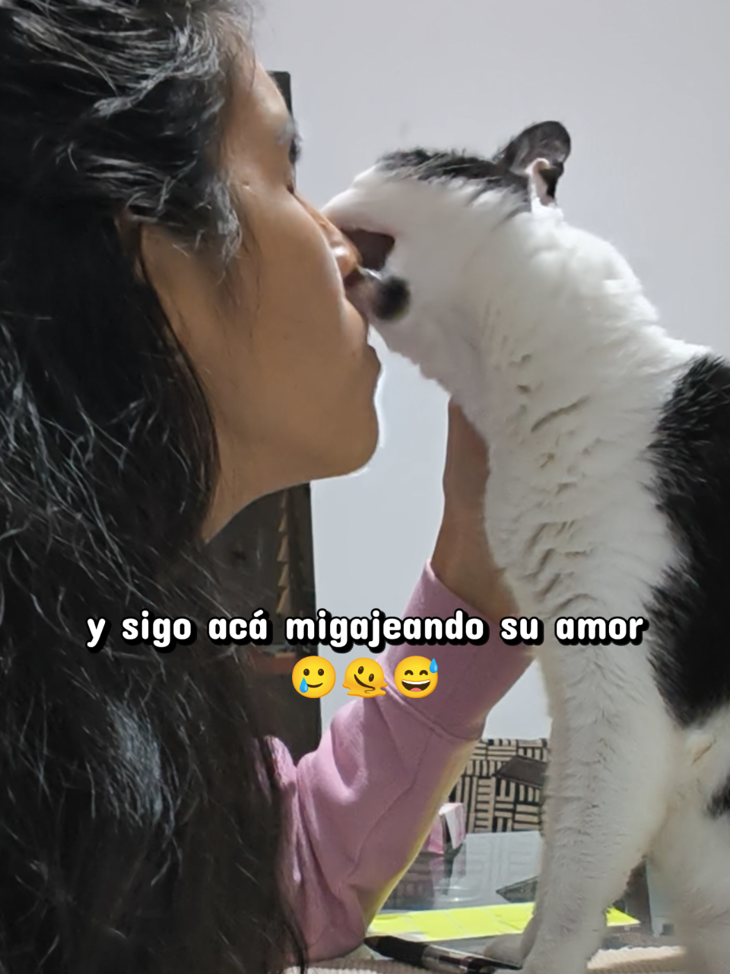 @Kiry Hols 🐈