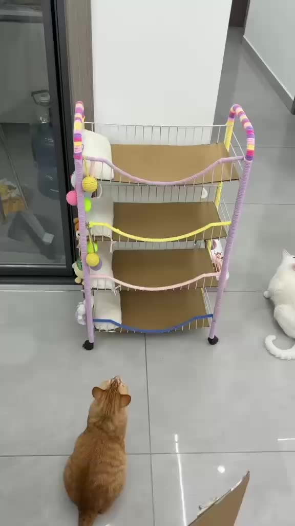 @Funny