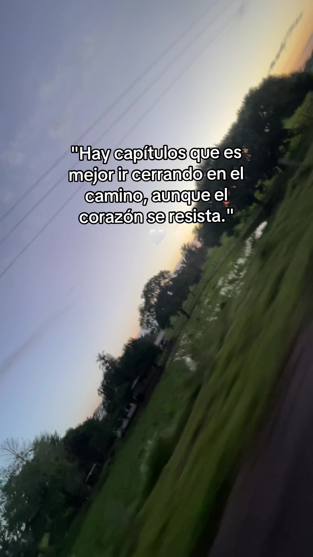 @ALEJANDRINA&ensp;G 🦋