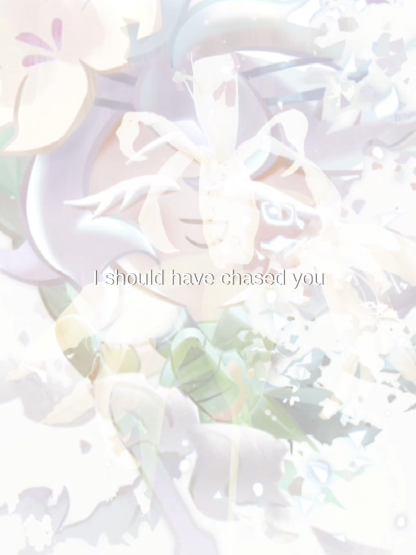 @?˚꒰ঌEvernight໒꒱˚¿