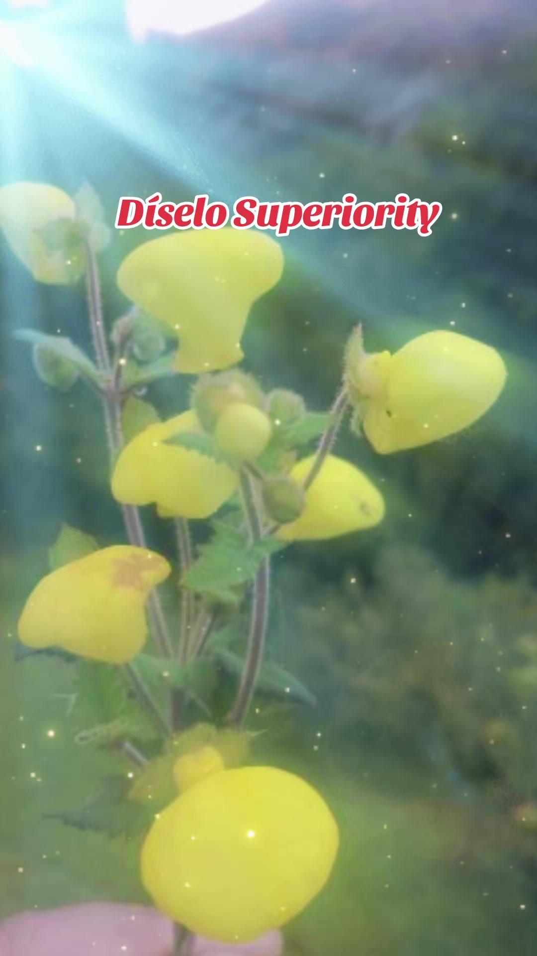 @🫐⃝𝐕2𐚁Ⓜ️⃝🫐😒Superiority🫐🫡