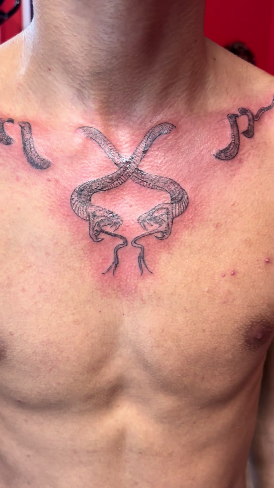 @Tatta Modena Ink