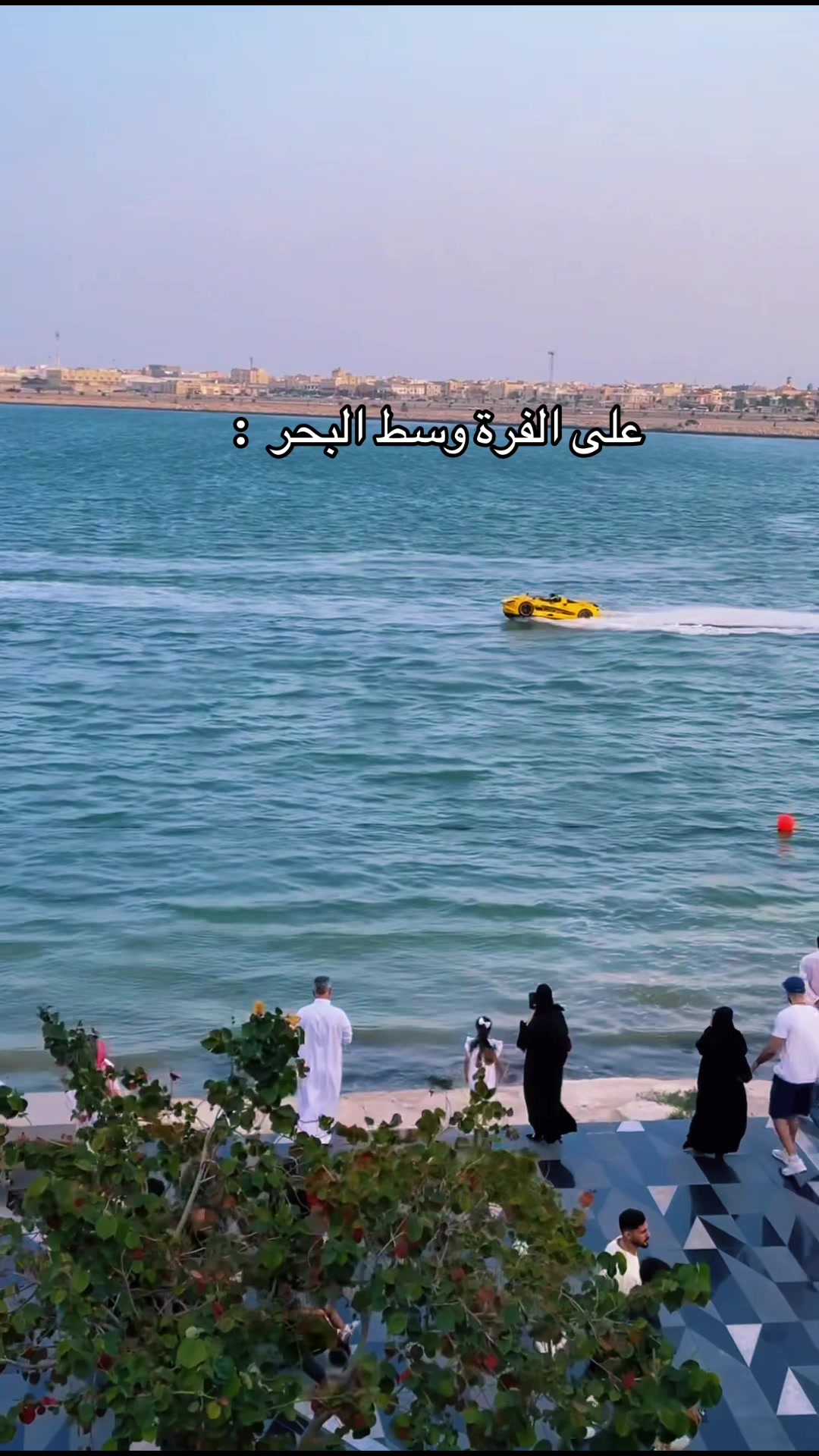 @C FRONT سي فرونت