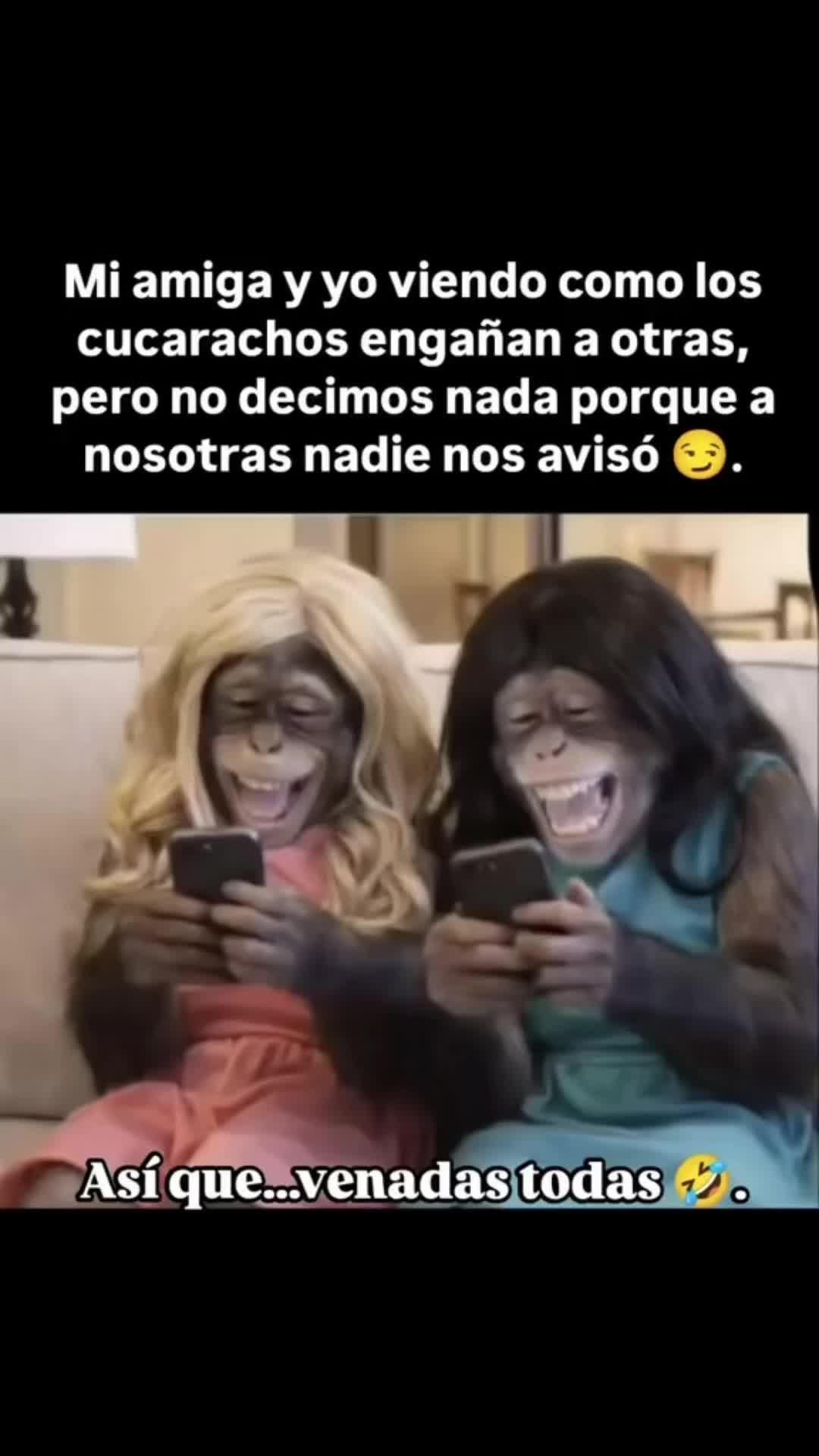@ð«ð©ðŽFlaquisð©ðŽð«