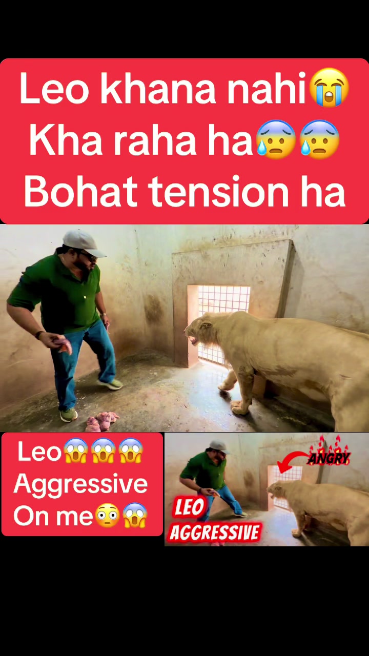 @Mian saqib