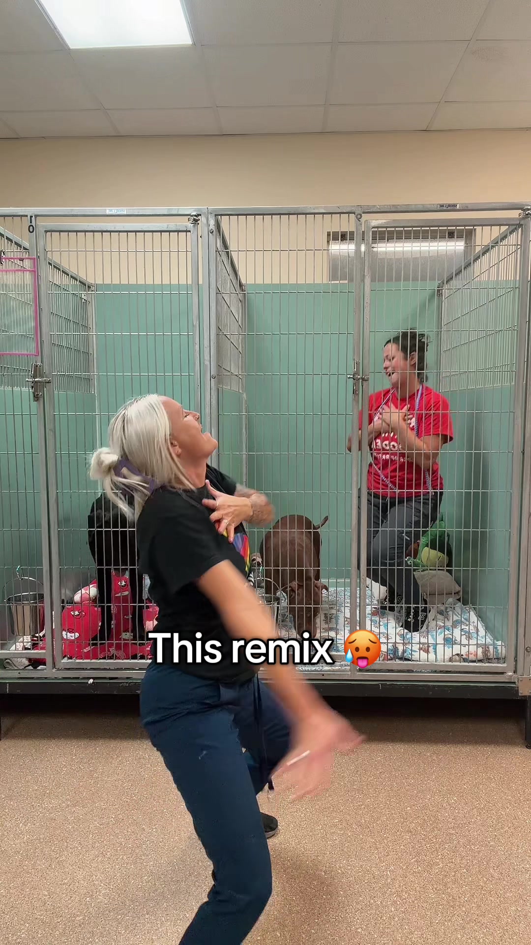 @2vettechs