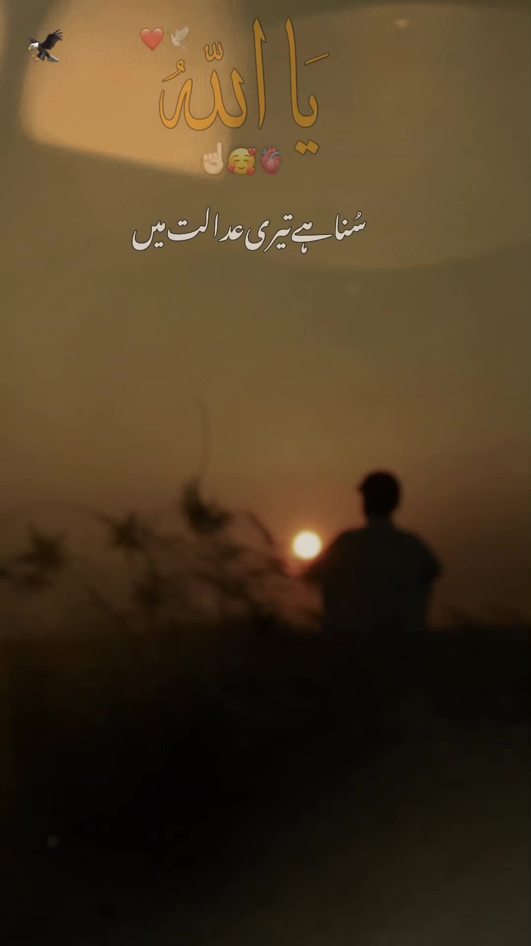 @( ๛SH علی HiD๛ )