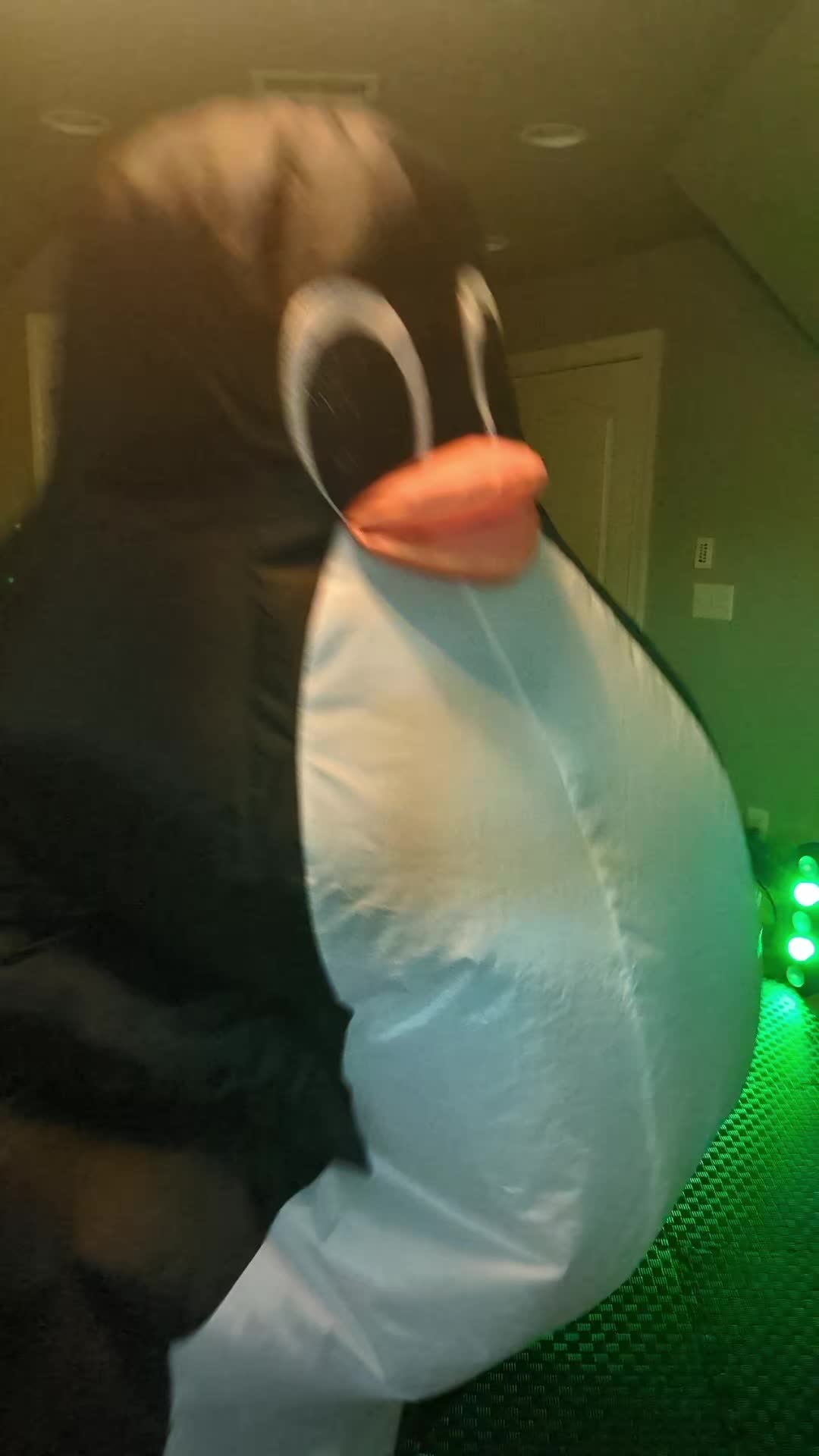 @Flipper